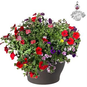 Bild von HP30 XXL Mix 15